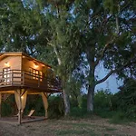 River Treehouse