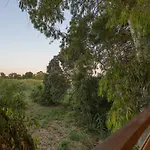 River Treehouse